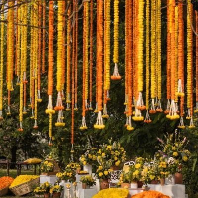 WhatsApp Image 2025-01-28 at 17.47.31_cdd5f40f